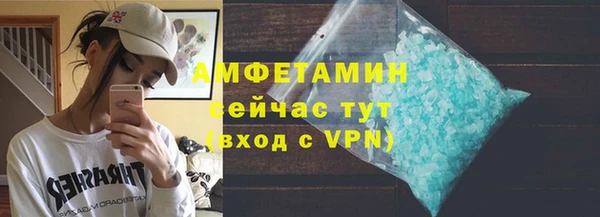 молекула духа Богородицк