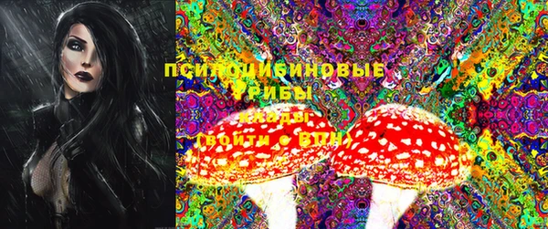 молекула духа Богородицк