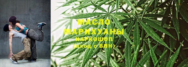 молекула духа Богородицк