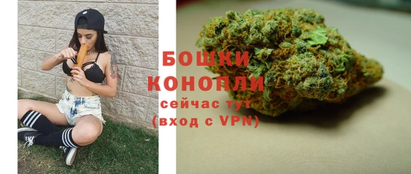молекула духа Богородицк